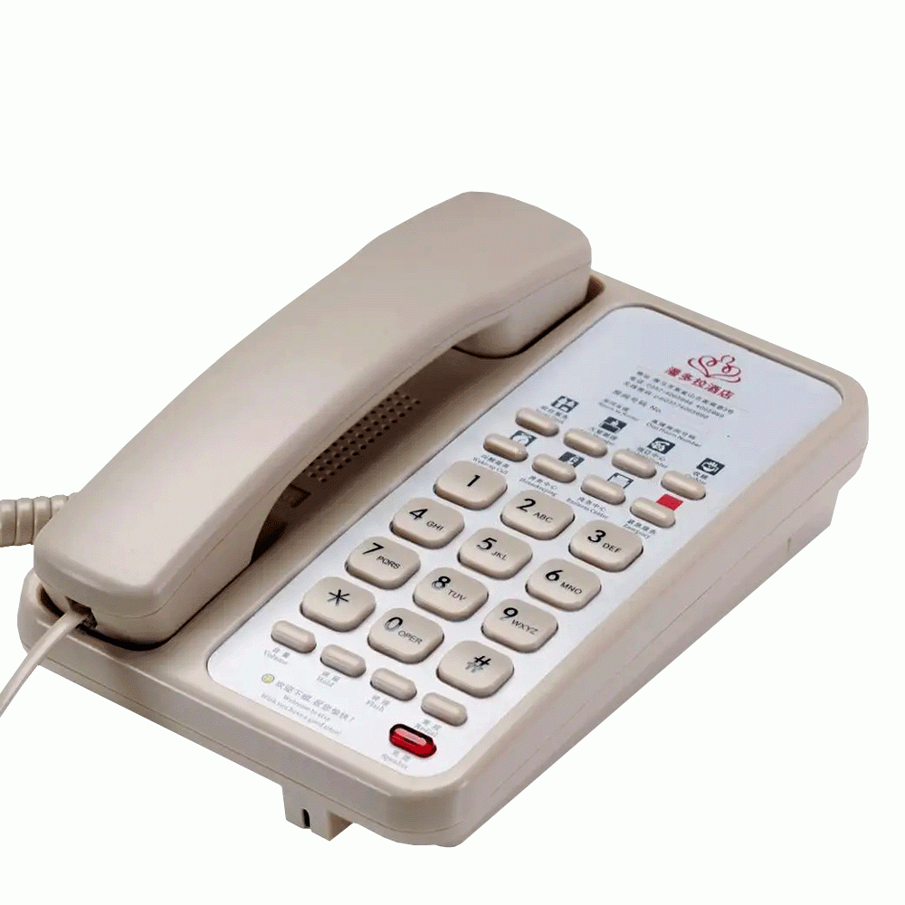 SN-0005BEIG 2