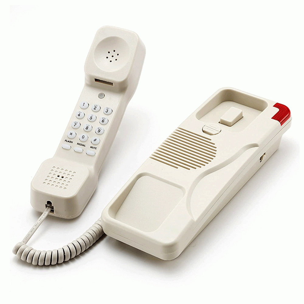 SN-0012BEIG 2